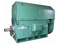 Y450-2DY系列6KV高压电机